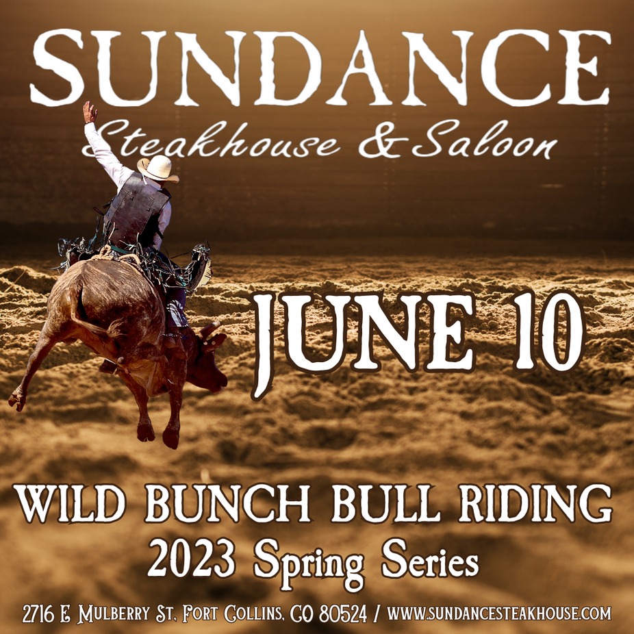 Wild Bunch Bull Riding Finals #2 event photo