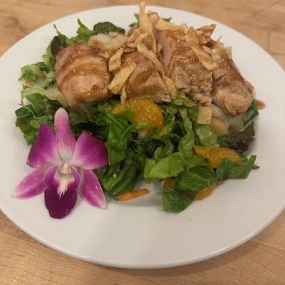 A salad of chicken served on a bed of mixed greens with mandarins.