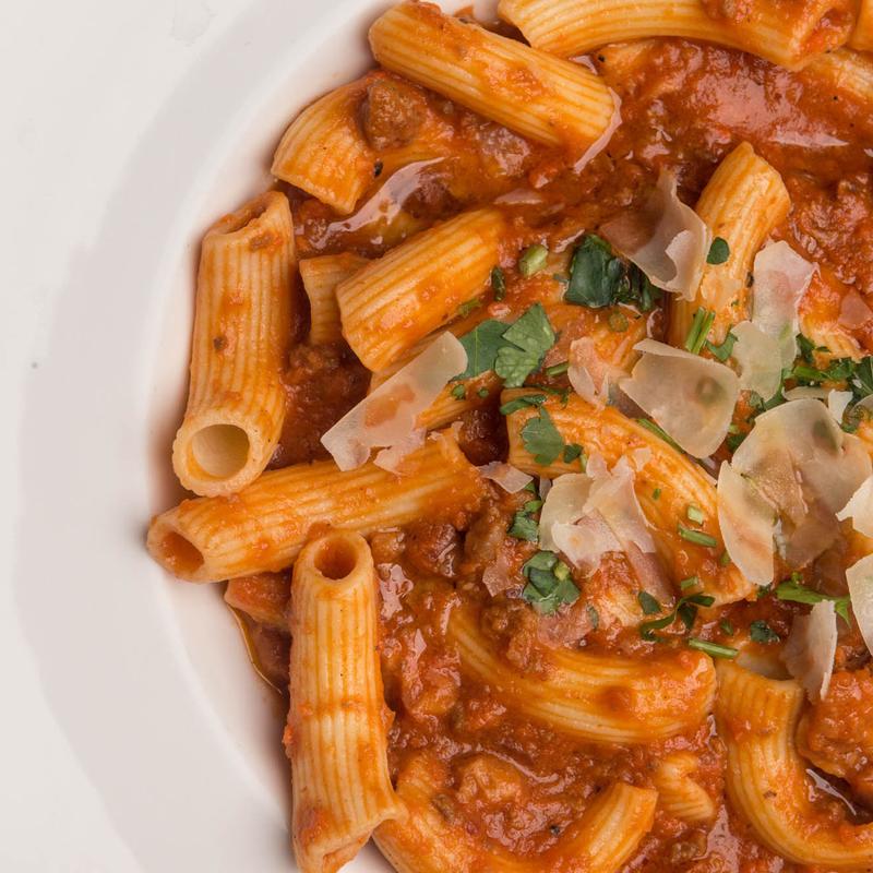 Bolognese photo