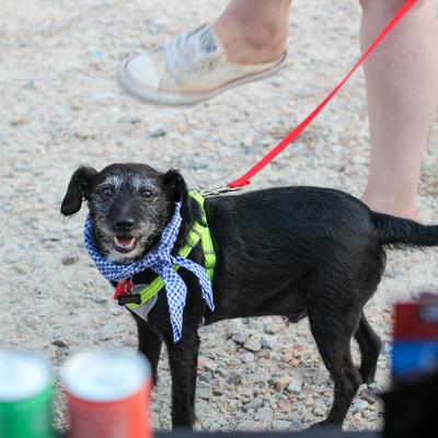 gallery photo number 22