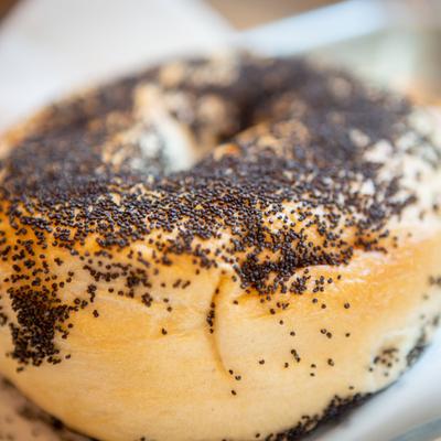 gallery photo number 56