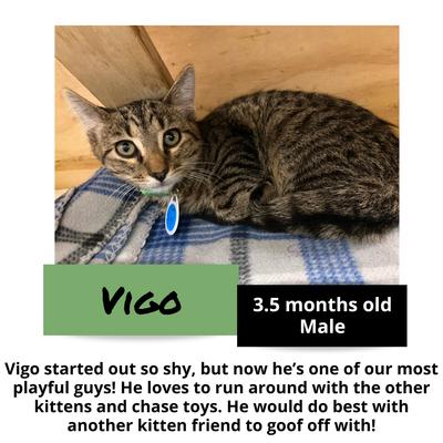 gallery photo number 4