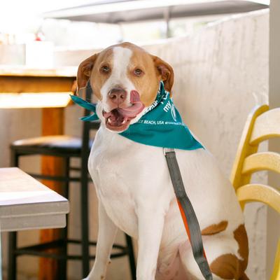 gallery photo number 14