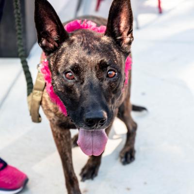 gallery photo number 8