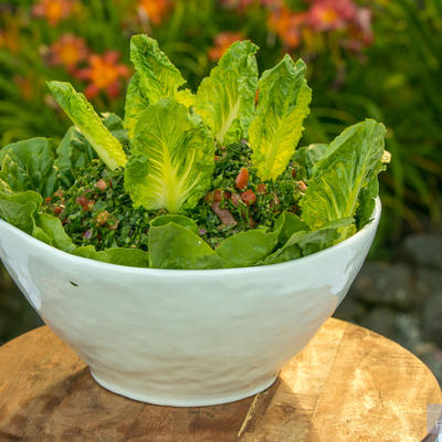 Green salad with decorations closeup