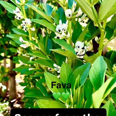 gallery photo number 3