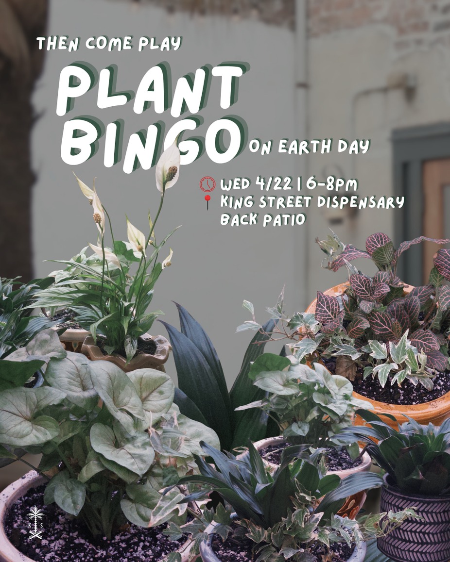 Plant Bingo 🌿 event photo