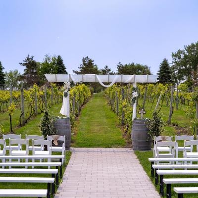 gallery photo number 5