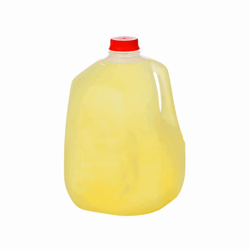 Gallon of Lemonade photo