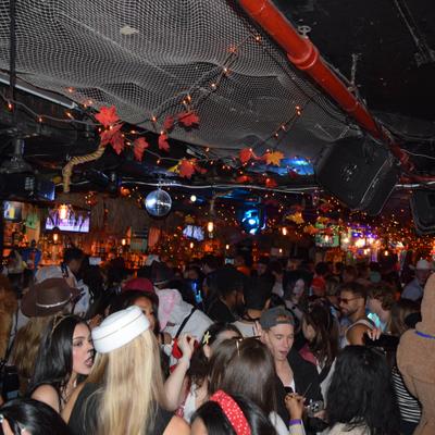 gallery photo number 349