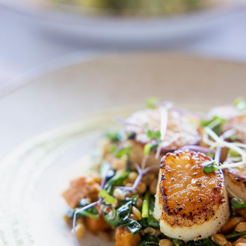 Seared Scallops photo