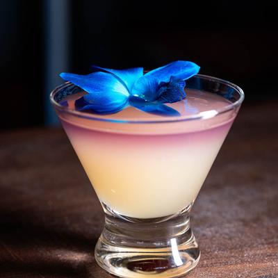 gallery photo number 13