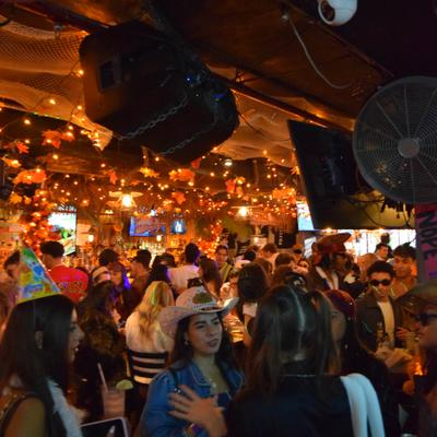 gallery photo number 381