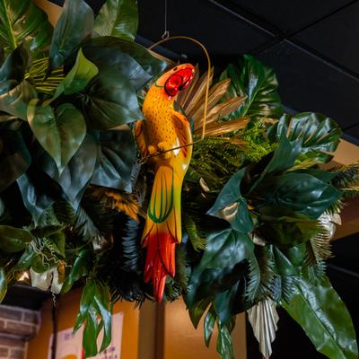Interior, decorative plants.