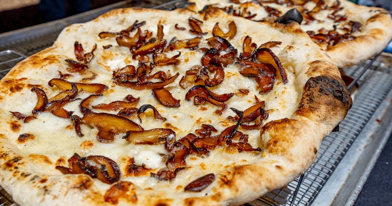 Wood-fired mushroom and truffle oil pizza