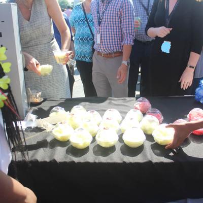 gallery photo number 6