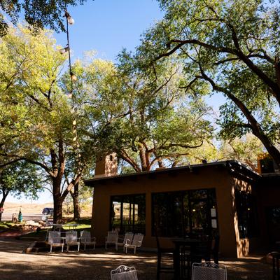 Restaurant exterior with outdoor seating under tall trees and string lights.