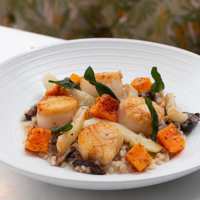 Seared Scallops - coquilles saint-jacques poêlées photo