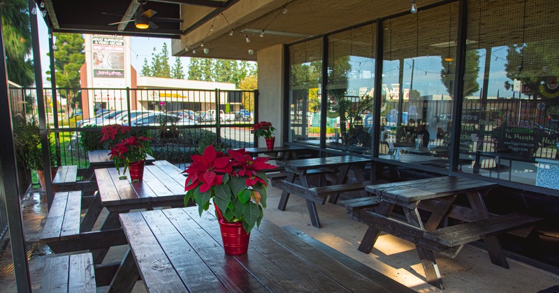 Outdoor patio with wooden picnic tables, poinsettia plants and string lights