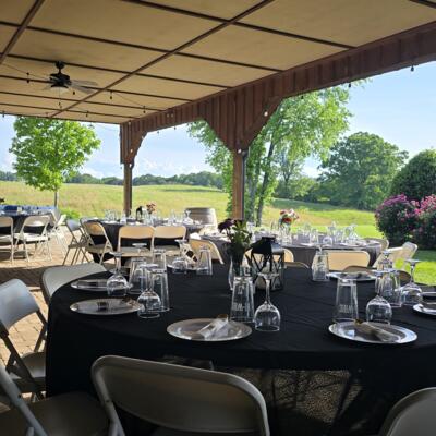 gallery photo number 17