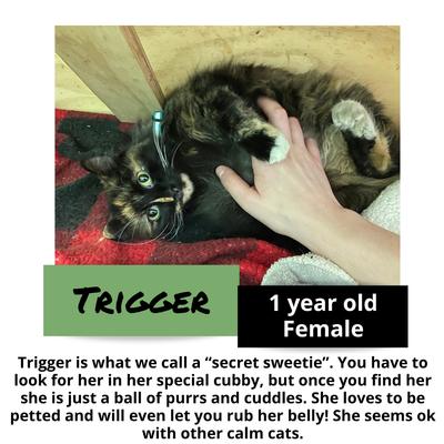 gallery photo number 12