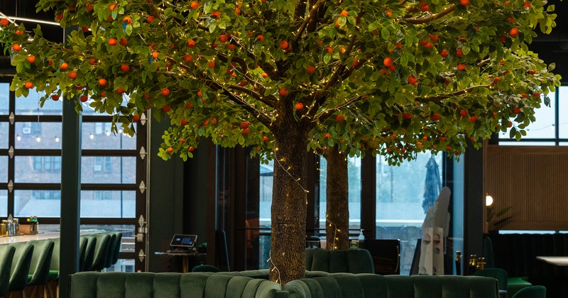 Interior, diner area, booths