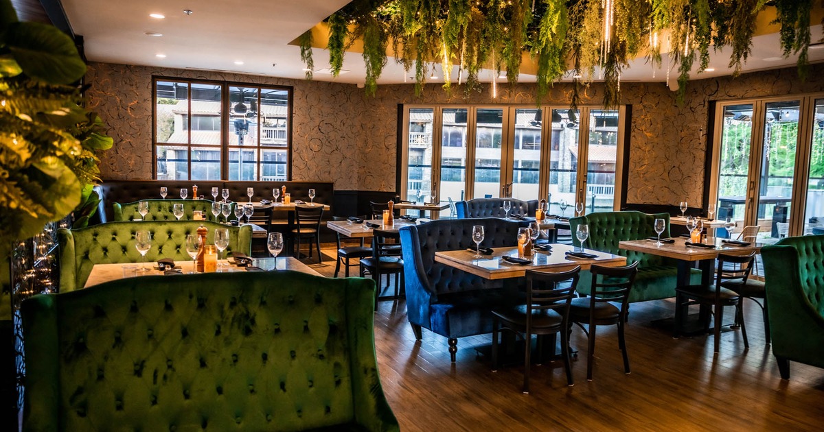 Seating area with sofas and chairs, set up tables  and hanging plants