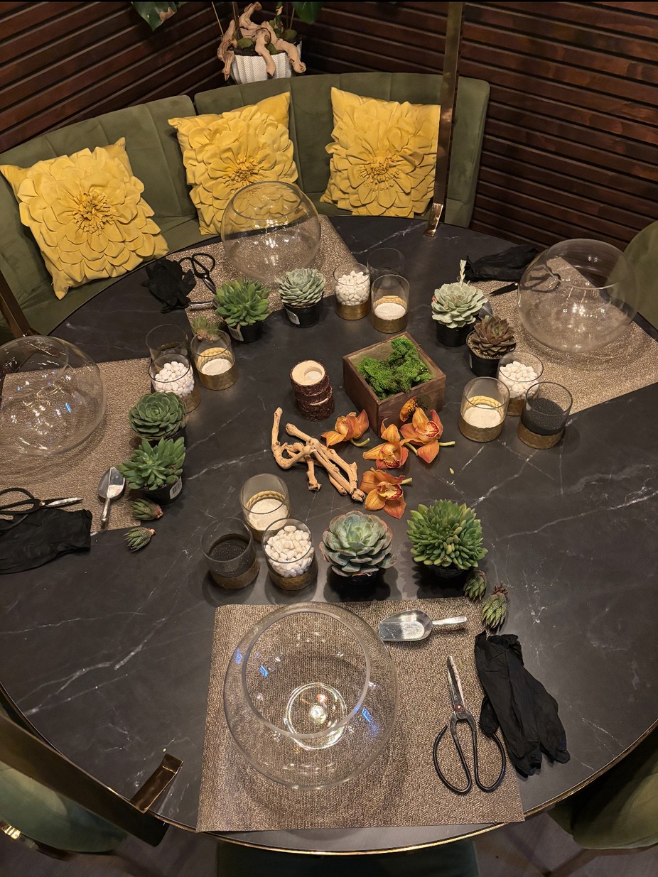 Sip and Design Succulents event photo