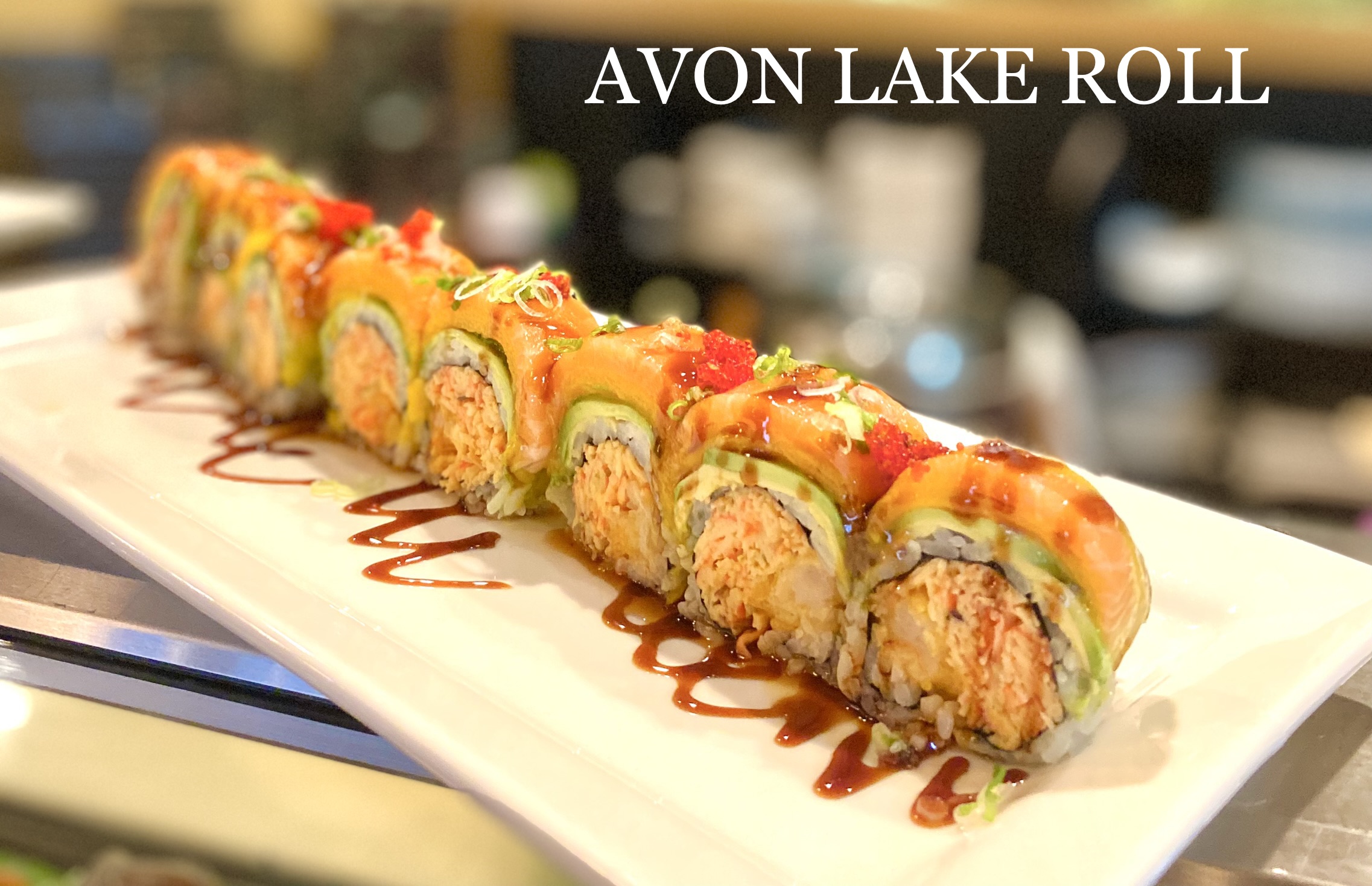 Plum Asian Fare and Sushi Avon Lake, OH