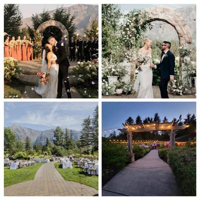 gallery photo number 336