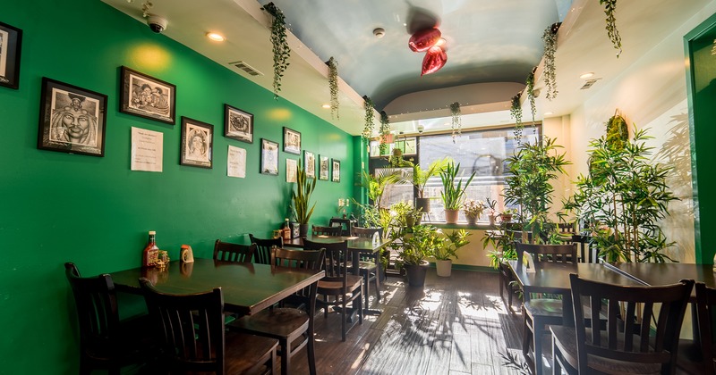 Interior, dining area decorated with plants by the window