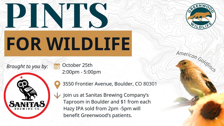 Boulder: Pints For Wildlife event photo