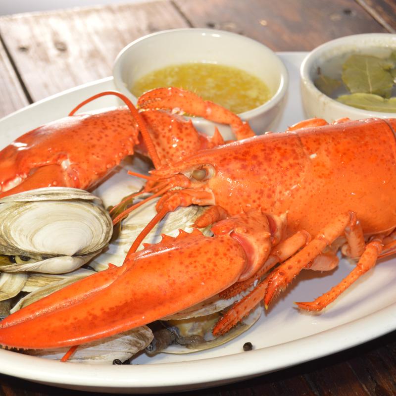 Lobster Steamer Bake photo