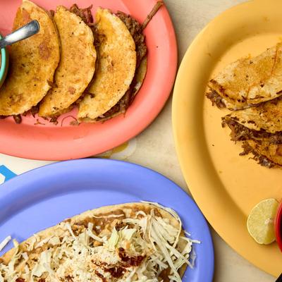 gallery photo number 98