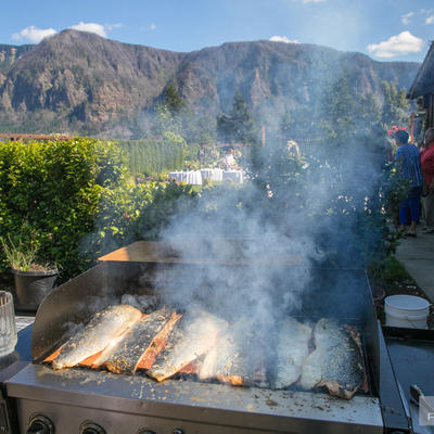 Grilled fish on the barbecue with natural landscape in the back