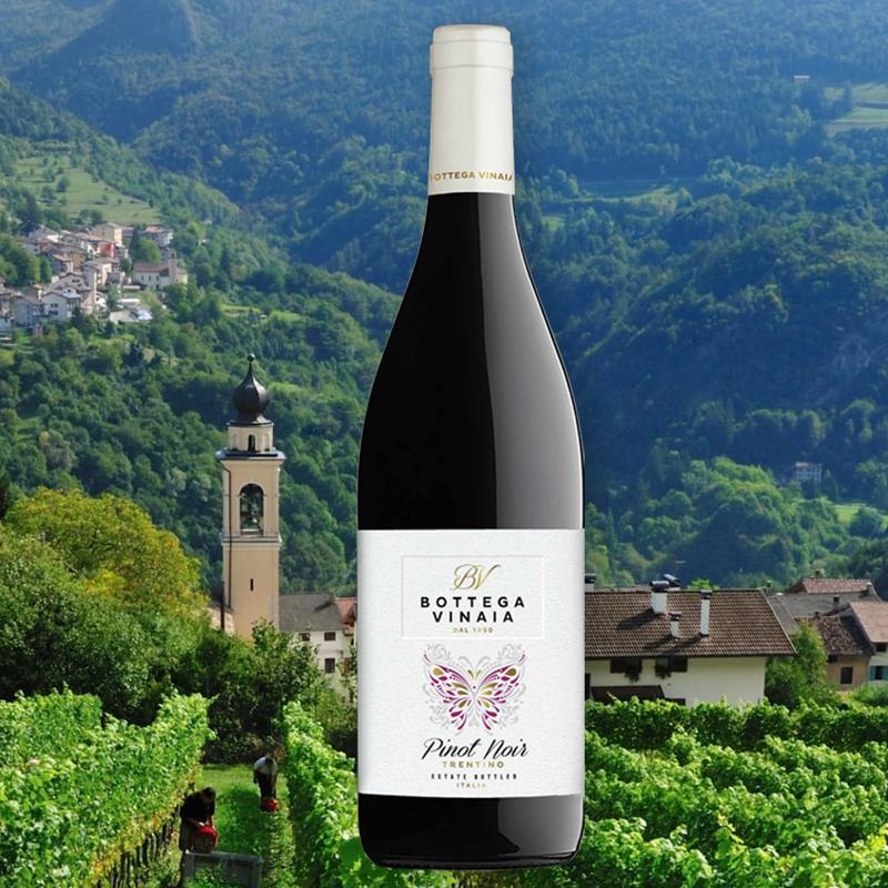 Bottega Vinaia Pinot Noir photo