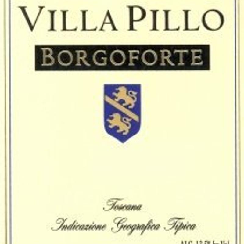 2019 Sangiovese/ Cabernet, Villa Pillo, Borgoforte, Tuscany, Italy photo