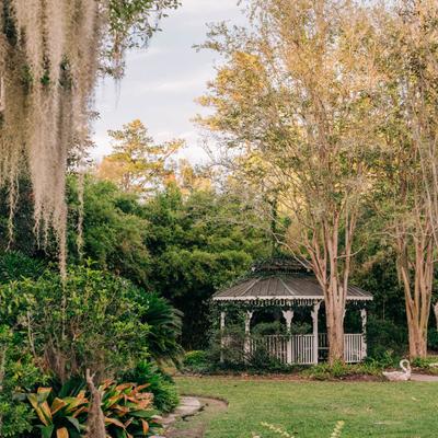 gallery photo number 17