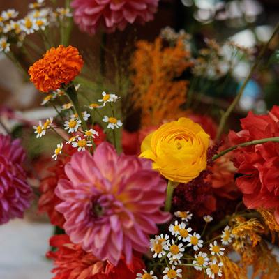 gallery photo number 16