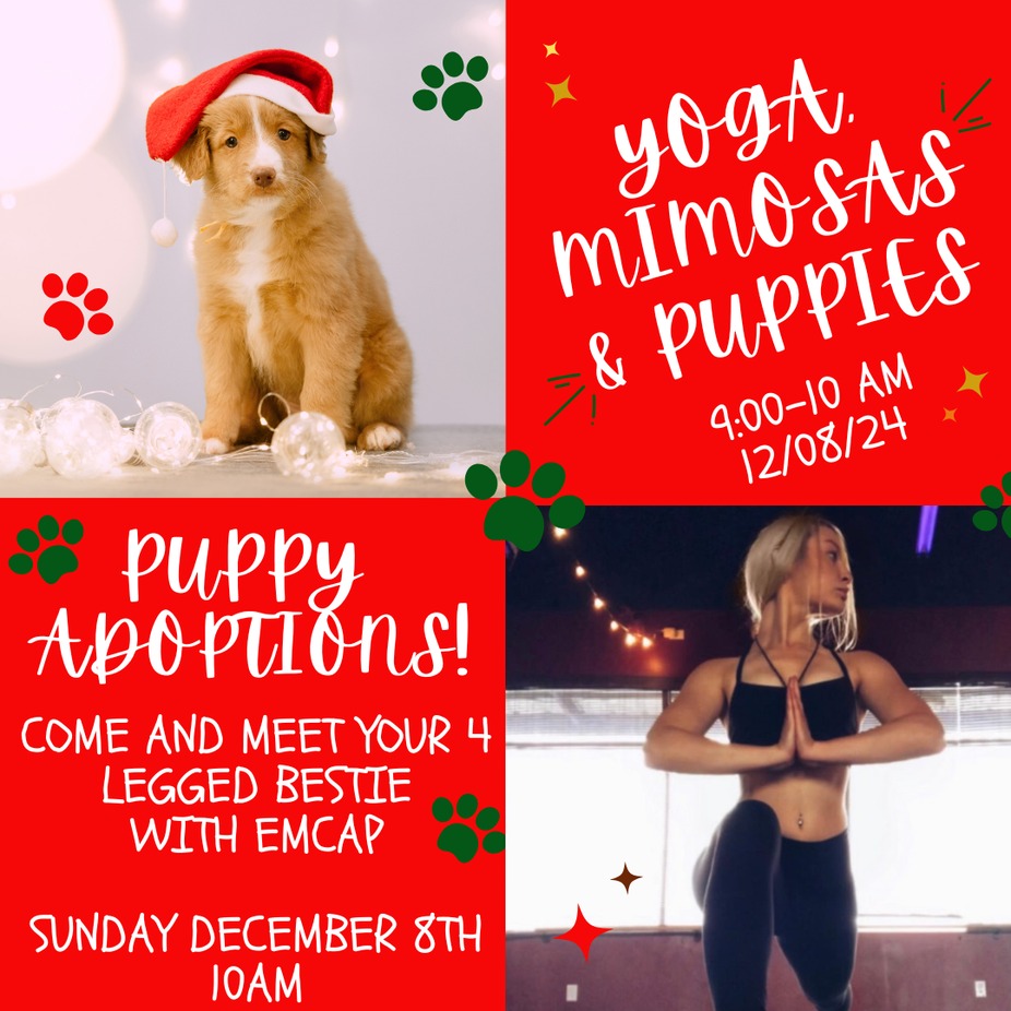 Puppy Yoga & Mimosas! event photo