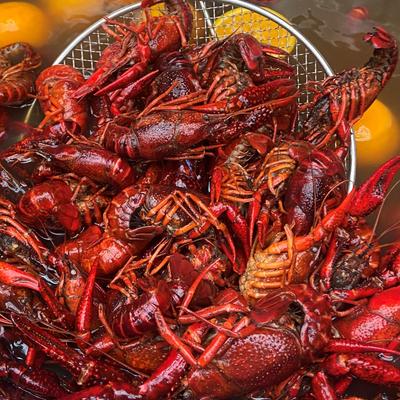 gallery photo number 146