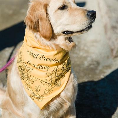 Golden retriever wearing a yellow bandana outdoors.