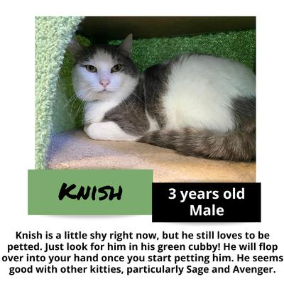 gallery photo number 16