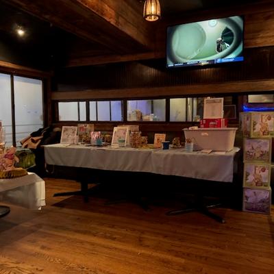 gallery photo number 10