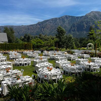 gallery photo number 203