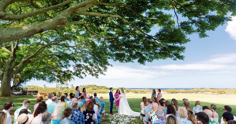 An outdoor wedding ceremony taking place under a large tree with sprawling branches