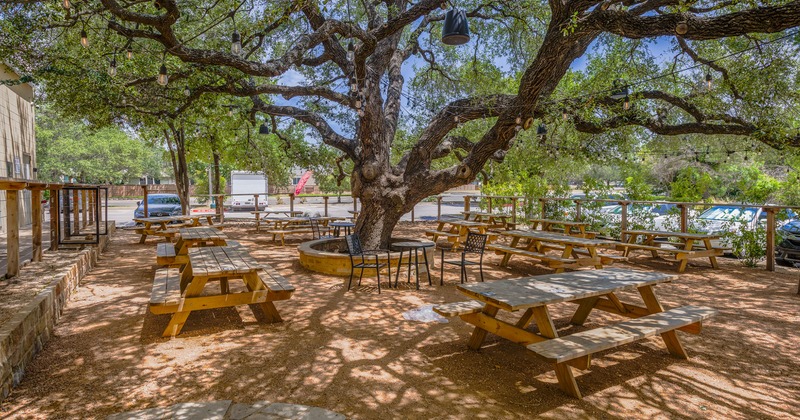 Exterior, patio with tables and a large tree in the middle that creates shade