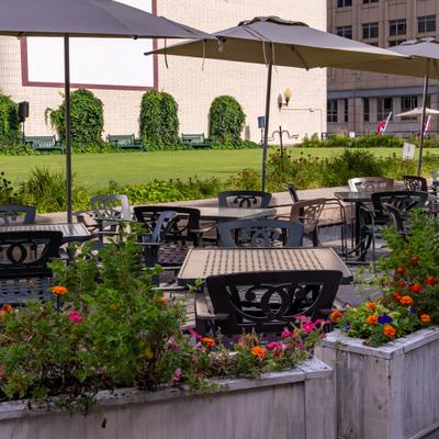 gallery photo number 10