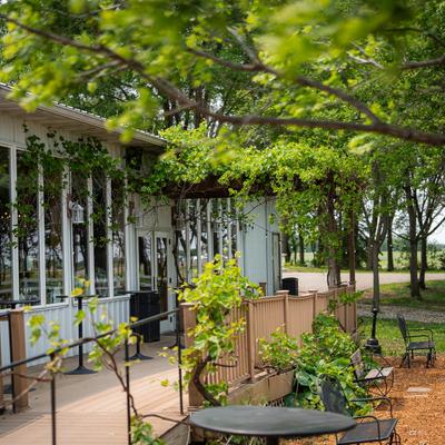 gallery photo number 82