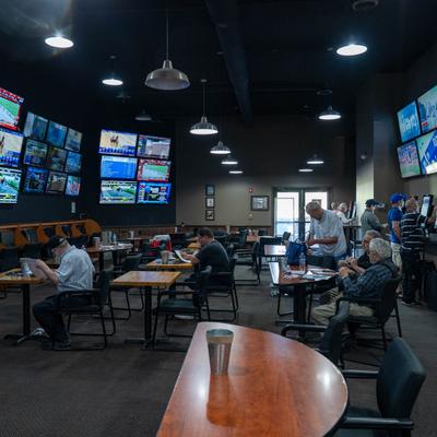 gallery photo number 10